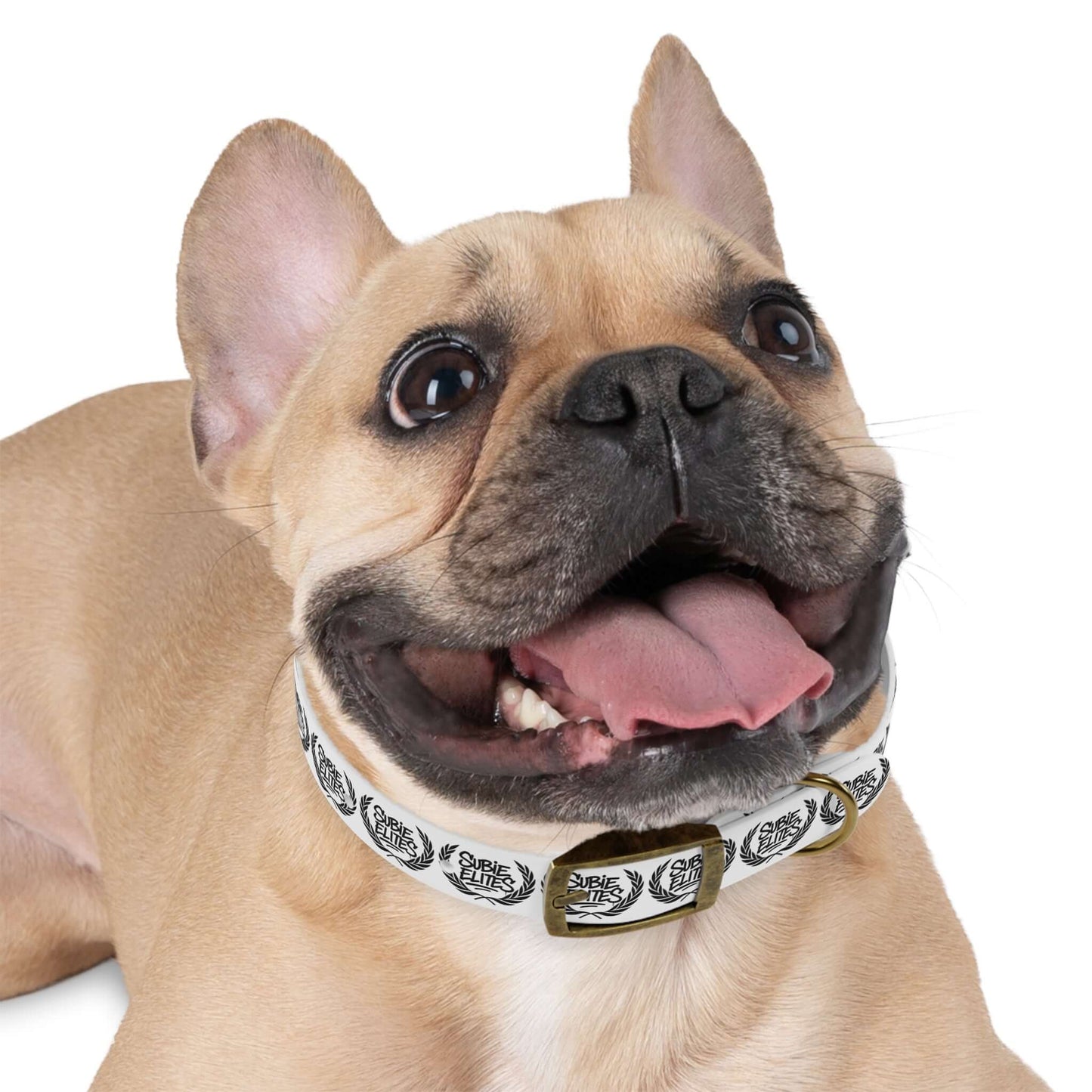 SUBIE ELITES DOG COLLAR
