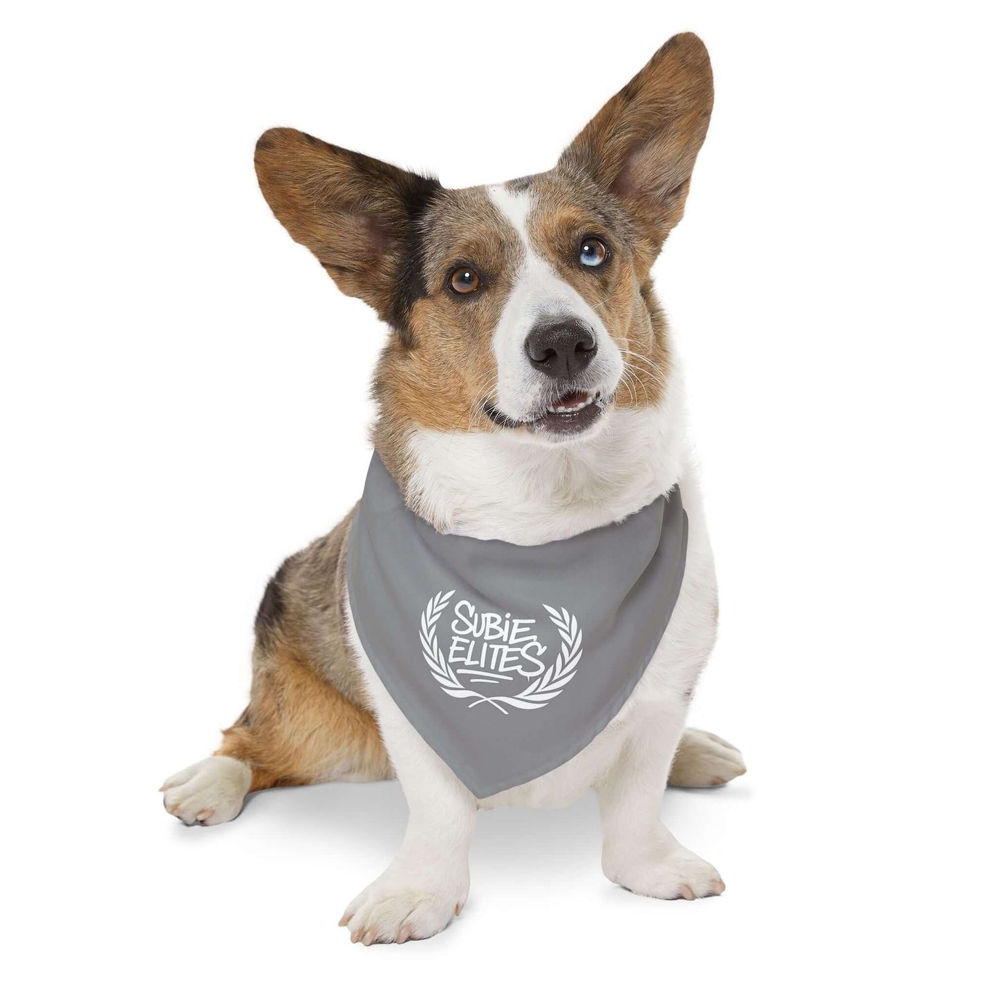 SUBIE ELITES DOG BANDANA COLLAR