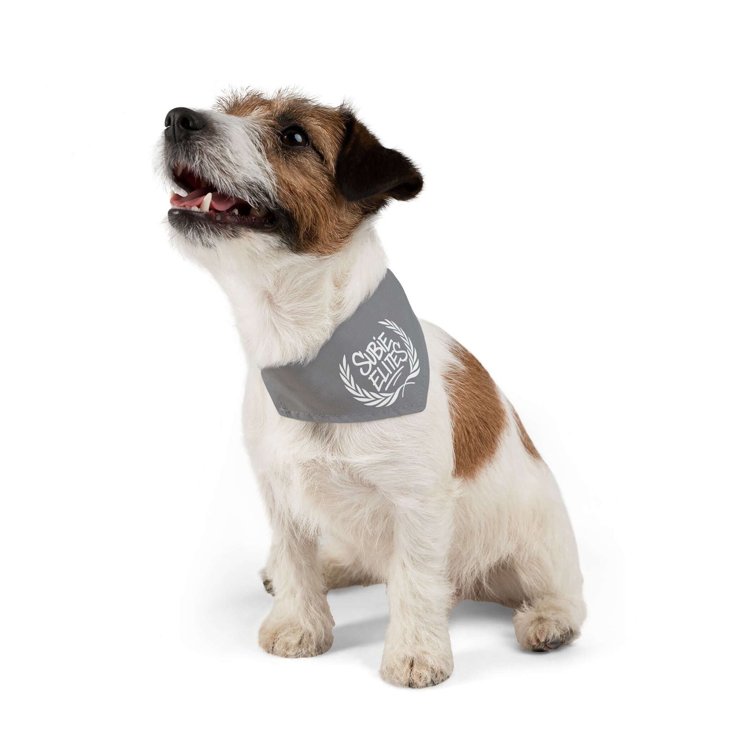 SUBIE ELITES DOG BANDANA COLLAR