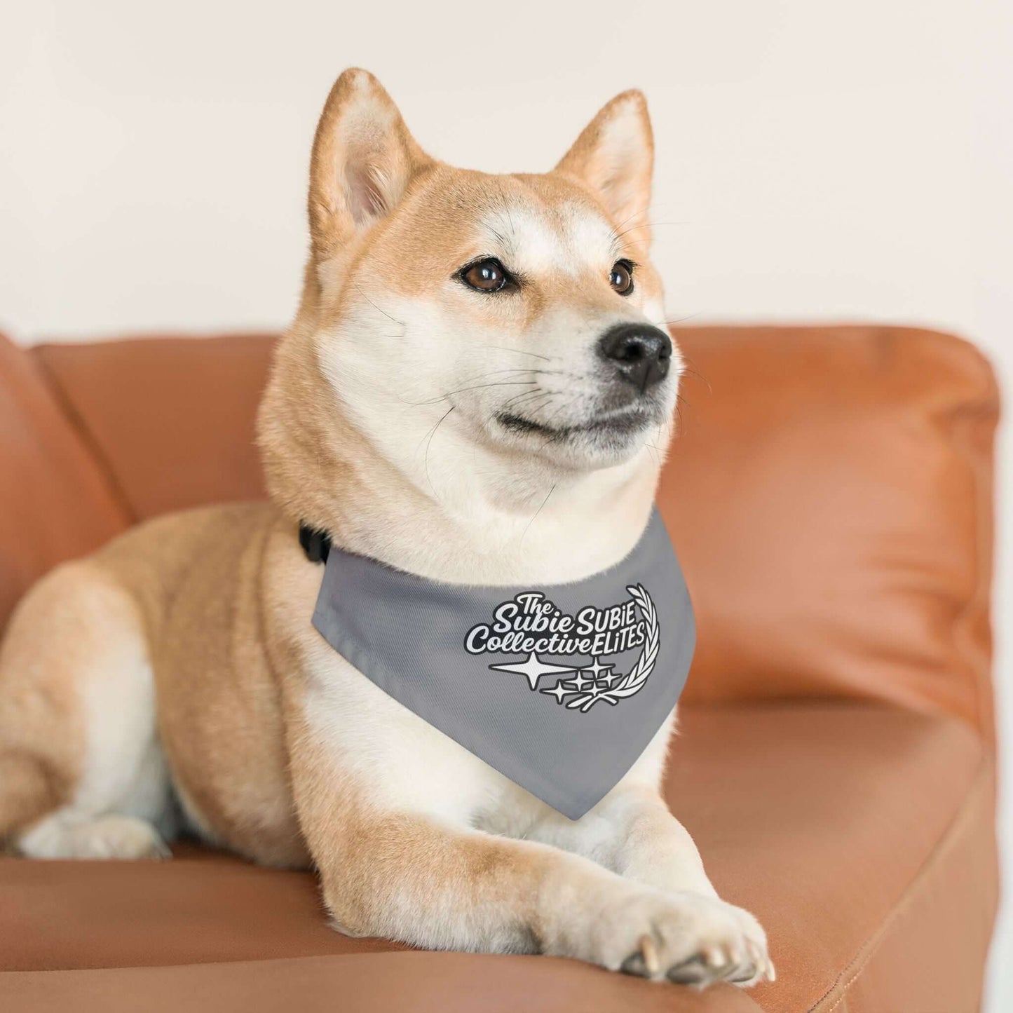 Subie Elites x The Subie Collective Dog Bandana Collar