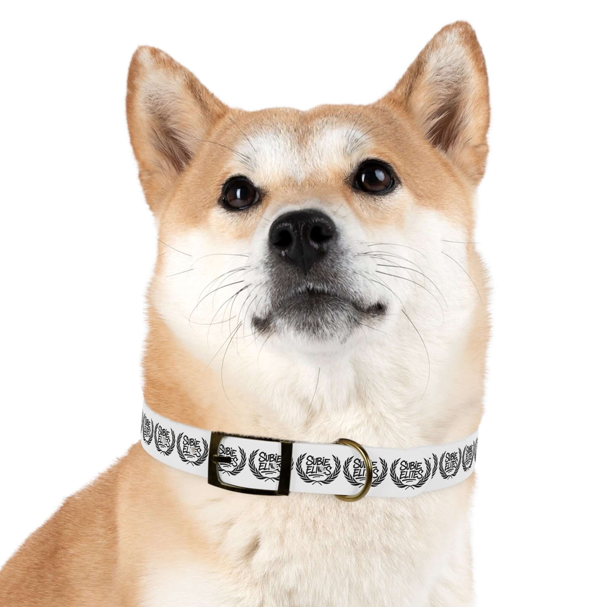 SUBIE ELITES DOG COLLAR