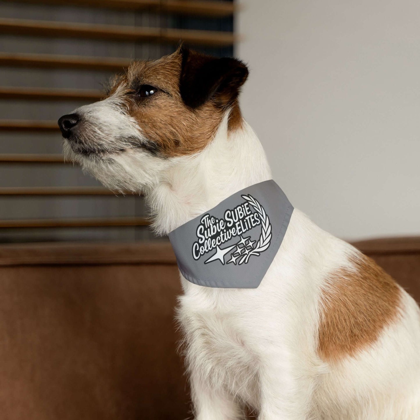Subie Elites x The Subie Collective Dog Bandana Collar