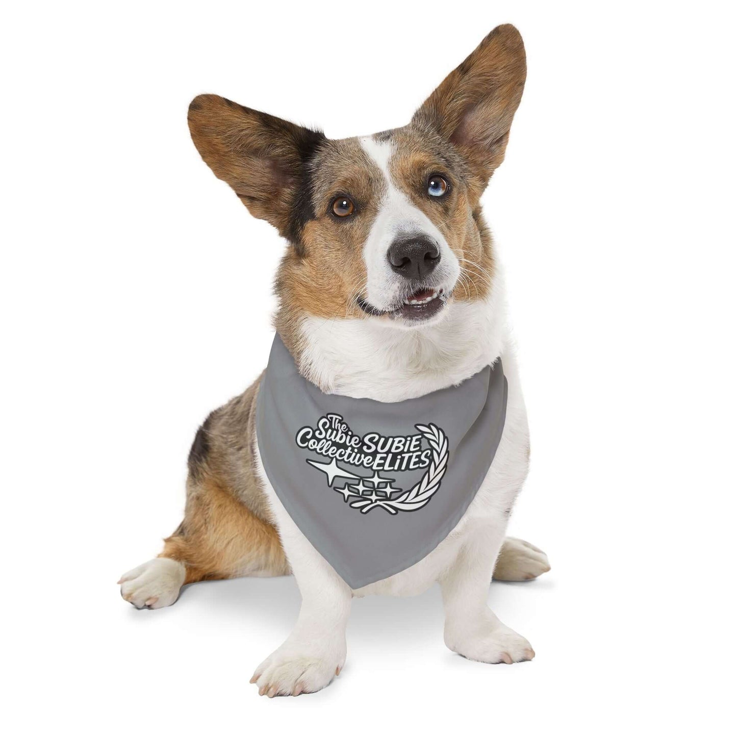 Subie Elites x The Subie Collective Dog Bandana Collar