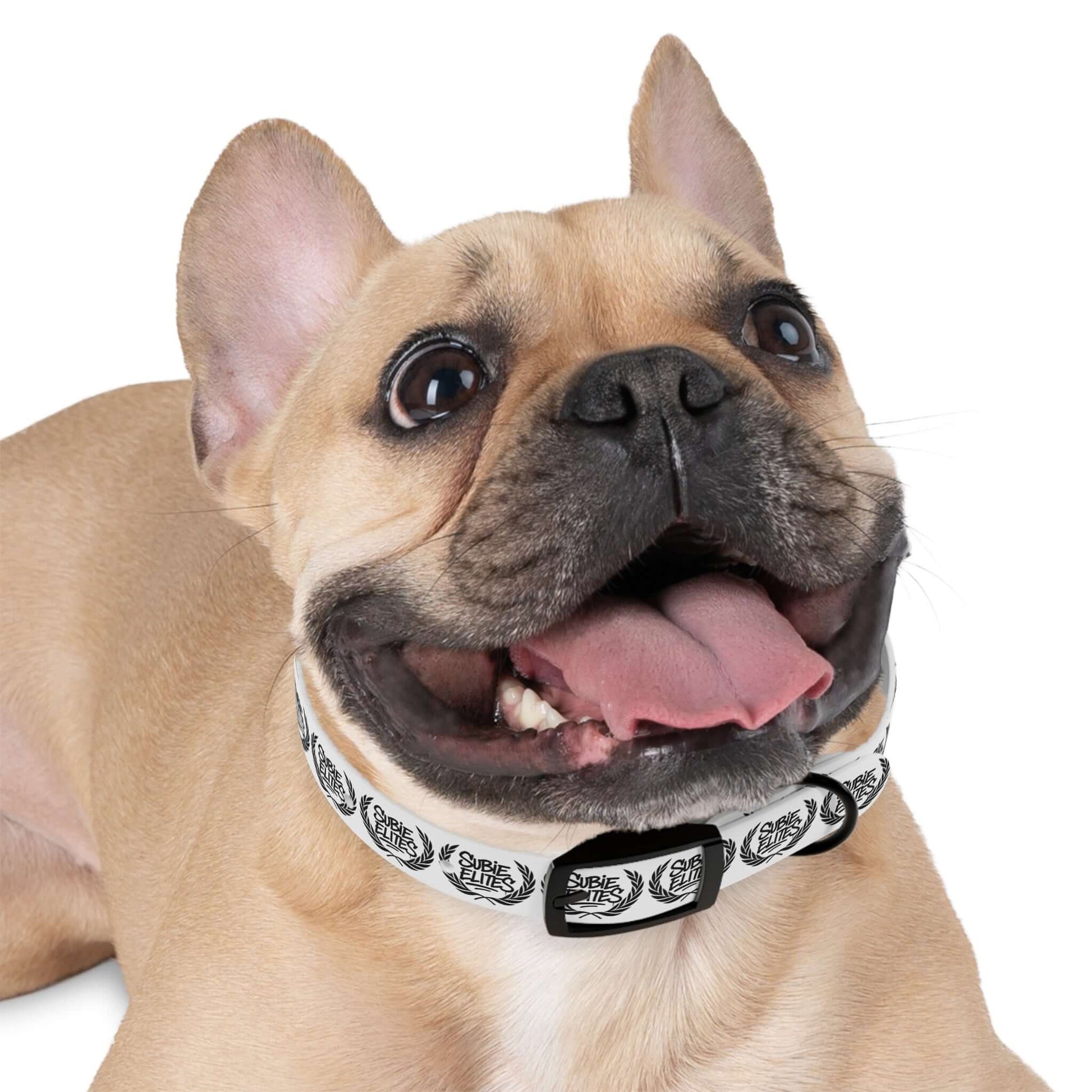 SUBIE ELITES DOG COLLAR