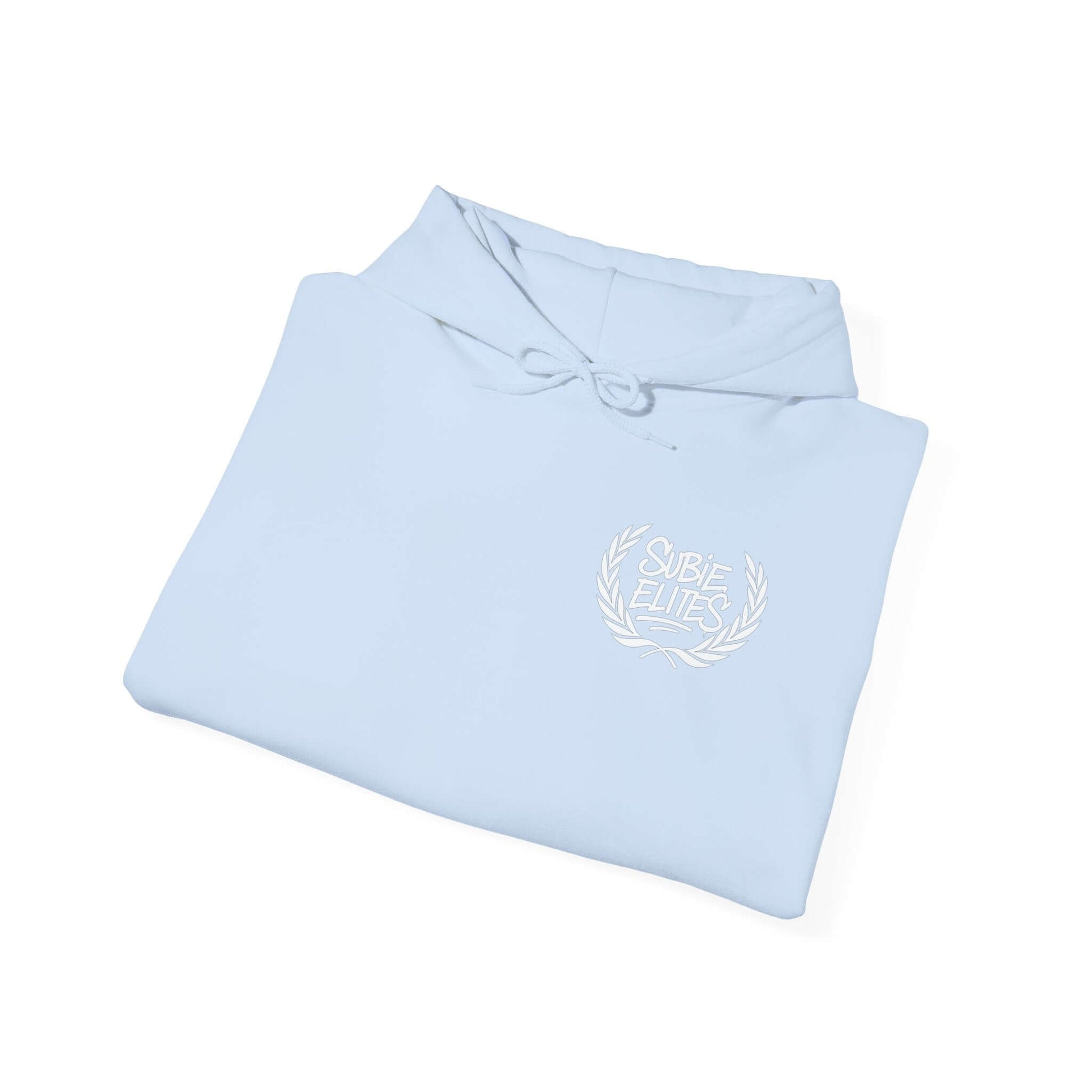 AMBASSADOR HOODIE- THAT_ONE_3.0R_GUY