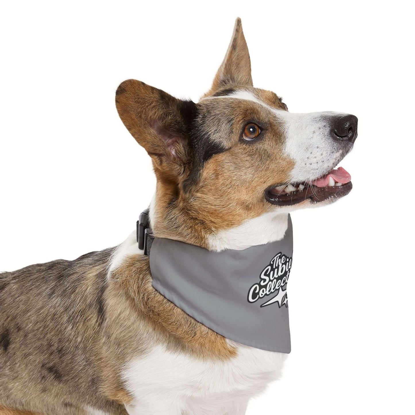 Subie Elites x The Subie Collective Dog Bandana Collar